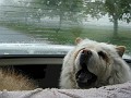 20040516_ 006